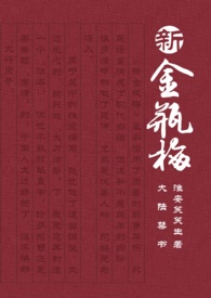 大陸禁書:新金瓶梅
