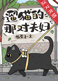 遛猫的那对夫妇